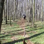 Meeresgruss 2-4 Pers