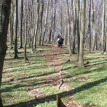 Meeresgruss 2-4 Pers